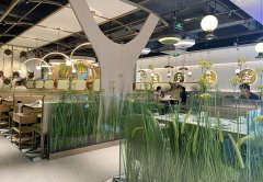 餐廳生意不好應(yīng)該怎么辦，餐飲老兵的8條建議：其中有幾條餐飲人都踩過(guò)！